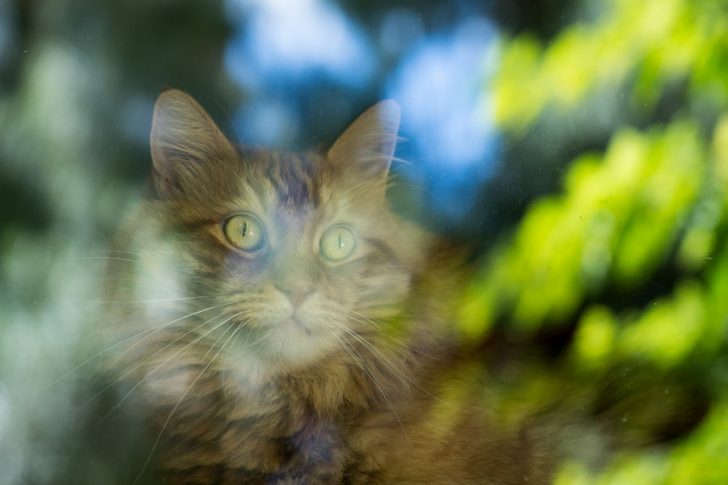Κυστίτιδα ουρολιθίαση ούρα