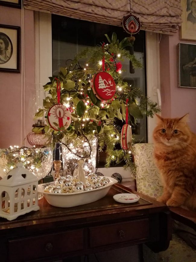 1xmascat