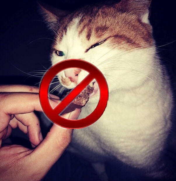 1τοξικωσεις