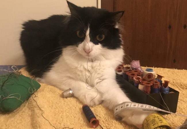 2τοξικωσεις